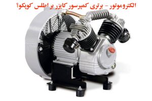 برندهای معتبر کمپرسور اسکرو برقی عموما از موتورهای زیمنس استفاده میکند.